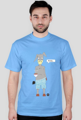 Monday donkey