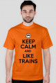 KEEP CALM AND LIKE TRAINS