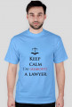 Keep calm I'm almost a lawyer