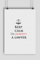 Keep calm I'm almost a lawyer