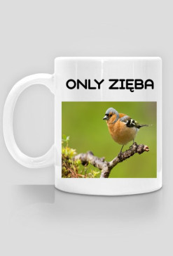 Zięba Kubek