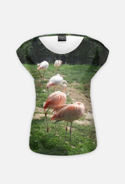 Flamingi