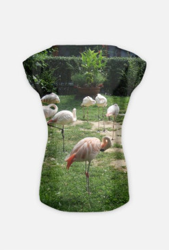 Flamingi