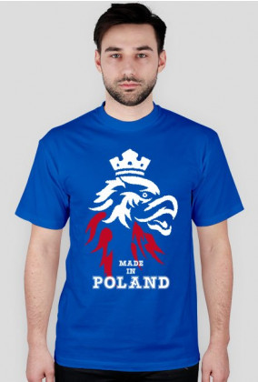 Koszulka męska - Polska. Pada