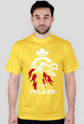Koszulka męska - Polska. Pada