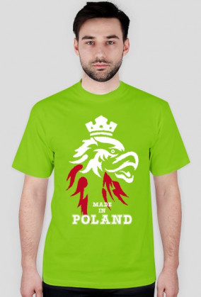 Koszulka męska - Polska. Pada