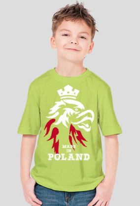 Koszulka dla chłopca - Polska. Pada
