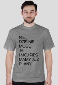 Mamy już plany.