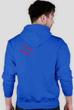 Bluza