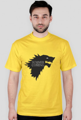 Summer is coming t-shirt