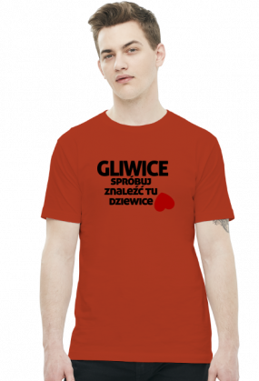 Gliwice - spróbuj znaleźć tu dziewice (t-shirt)