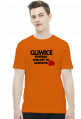 Gliwice - spróbuj znaleźć tu dziewice (t-shirt)