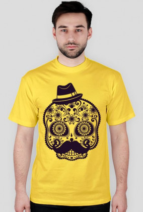 Koszulka męska czachą hipster