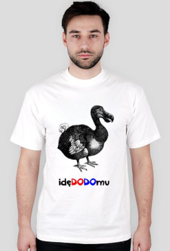 idę do domu