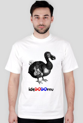 idę do domu