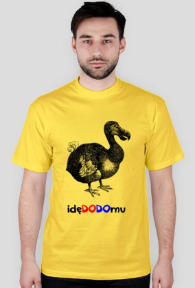 idę do domu