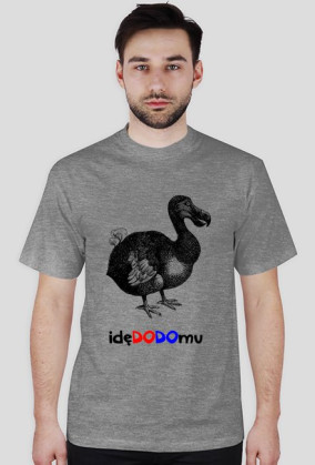 idę do domu