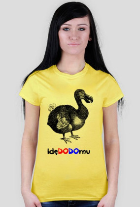 idę do domu