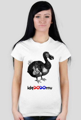 idę do domu