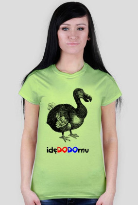 idę do domu