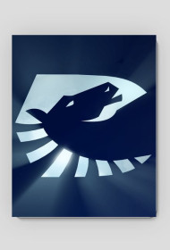 Podkładka pod Mysz Team Liquid