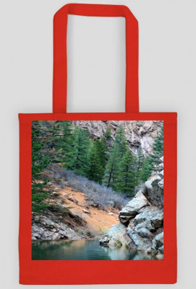 1.TORBA -DOSTĘPNA W PIĘCIU KOLORACH-KLIKNIJ NA OBRAZEK