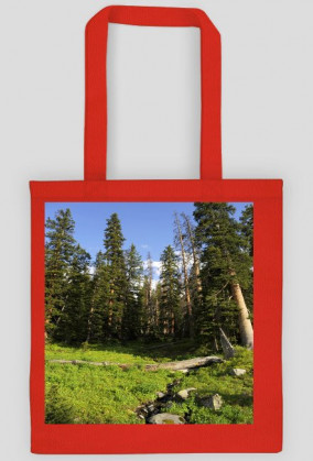 3.TORBA -DOSTĘPNA W PIĘCIU KOLORACH-KLIKNIJ NA OBRAZEK