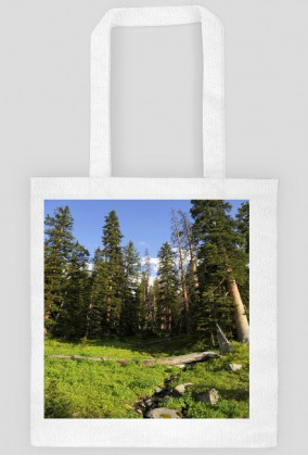 3.TORBA -DOSTĘPNA W PIĘCIU KOLORACH-KLIKNIJ NA OBRAZEK