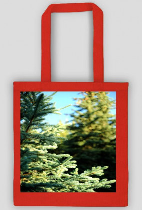 4.TORBA -DOSTĘPNA W PIĘCIU KOLORACH-KLIKNIJ NA OBRAZEK