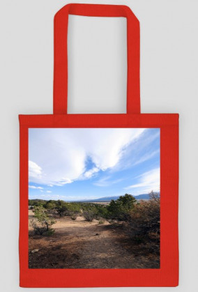 4.TORBA -DOSTĘPNA W PIĘCIU KOLORACH-KLIKNIJ NA OBRAZEK