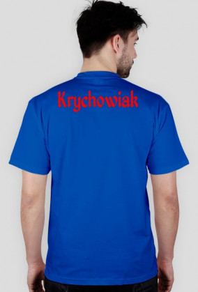 Krychowiak