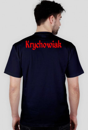 Krychowiak