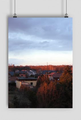 Plakat A2 pion. - Widok