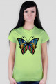 Motyl #1