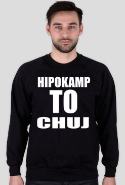 Hipokamp to chuj