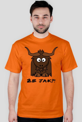 Że jak?!