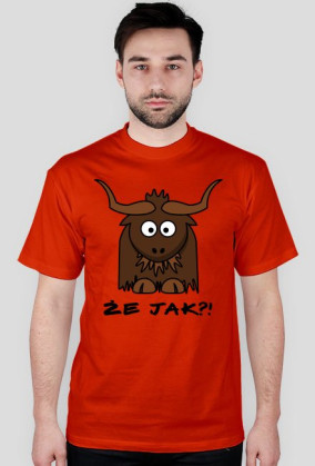 Że jak?!