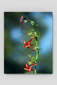 11.podkładka pod myszkę