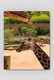 15.podkładka pod myszkę