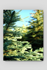 17.podkładka pod myszkę