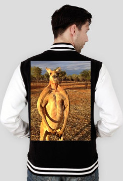 Kangur Bicek