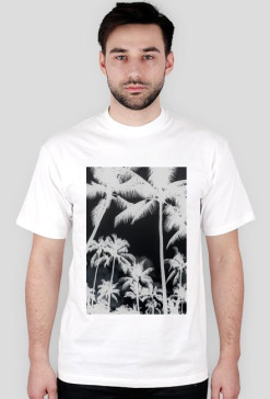 PALMDE#D vol. 2