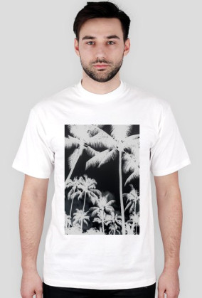 PALMDE#D vol. 2
