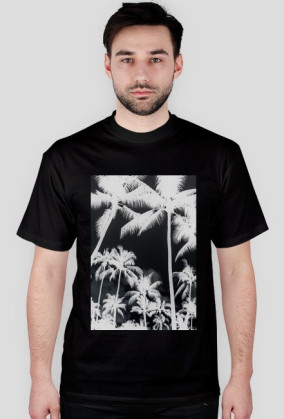 PALMDE#D vol. 2
