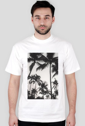 PALMDE#D vol.1