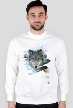 Leśny klimat D bluza