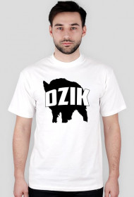 DZIK