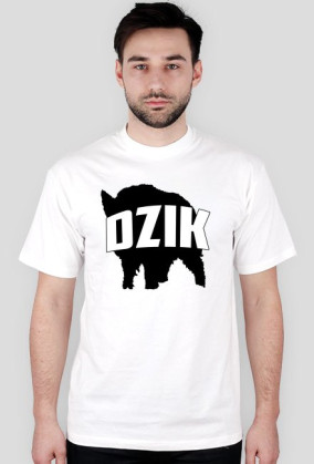 DZIK