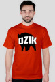 DZIK