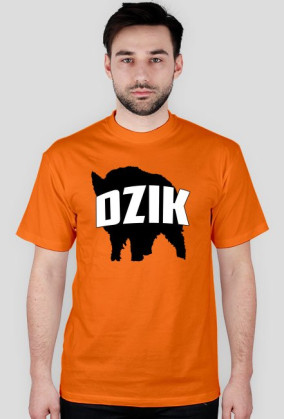DZIK